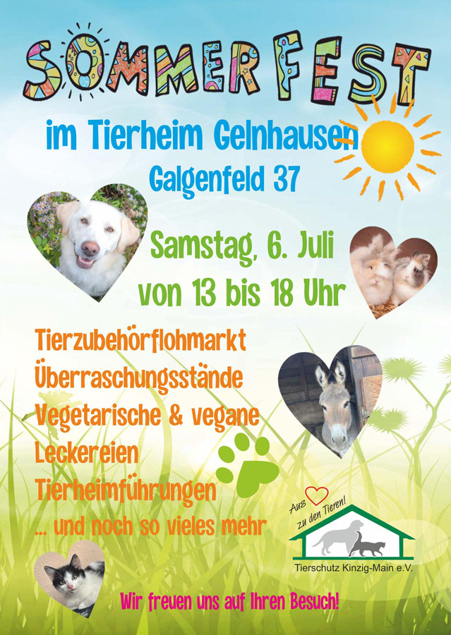 Mehr über den Artikel erfahren Tierheim Gelnhausen Sommerfest Fotoshooting